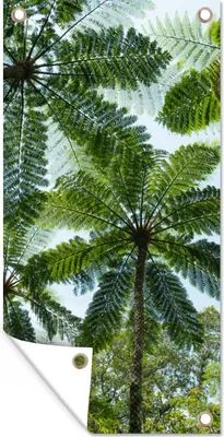 Produktbild von MuchoWow® 80x160 cm Outdoor-Poster Gartendeko Sichtschutz Garten Poster für den Garten  Bäume und Blätter im Dschungel