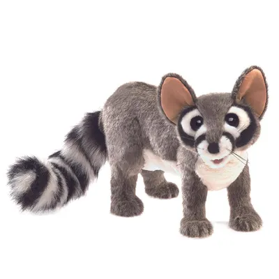 Produktbild von Folkmanis Handpuppe Katzenfrett 3122