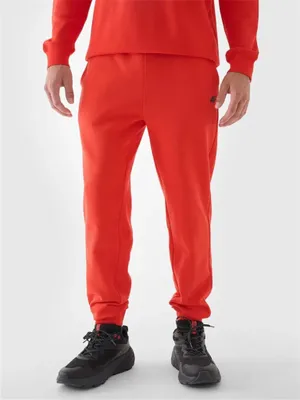 Image de Pantalon de survêtement 4F M 4FWMM00TTROM0943-70S Gilet sans manches 4F Taille : S,