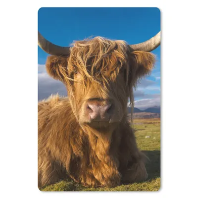 Produktbild von MuchoWow® Mauspad Mousepad Schottische Highlander - Tiere - Gras 18x27 cm - Mousepads - Maus Mat - Pad - Mausunterlage