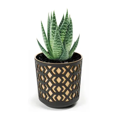 Immagine prodotto di Vaso da fiori con inserto 19cm Vaso da fiori decorativo, coprifiori da giardino traforato Decorazione per piante da interno Vasi da fiori Nero - Oro