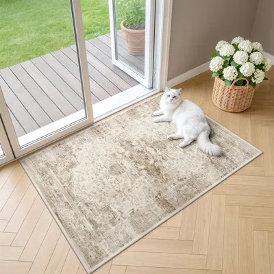 Imagen del producto de Alfombra vintage para el salón, de 60 x 90 cm, en color beige