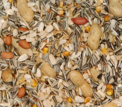 Zdjęcie produktu dla Karma dla papug Wielink – 15 kg