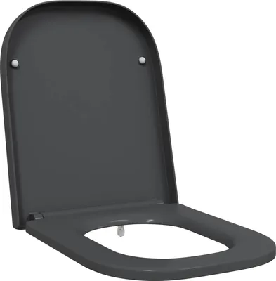 Obrázek produktu pro Toaletní prkno Antracit 47,5 x 35 x 3,6 cm Duroplast