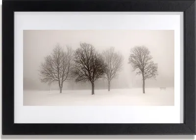 Produktbild von Bild 30x20 MDF-Rahmen Wandkunst Schnee-Landschaft Bäume