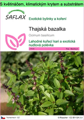 Obrázek produktu pro SAFLAX Garden to go - thajská bazalka - Ocimum basilicum - 200 Semena - S květináčem, klimatickou poklicí a pěstebním substrátem