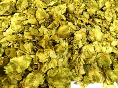 Produktbild von Hopfenblüten ganz Naturideen® 75g