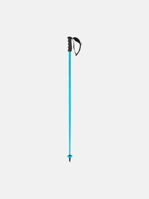 A single ski pole against a white background.