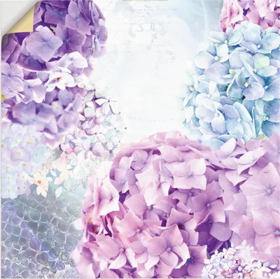 Produktbild von ARTland Wandbild, selbstklebend Blau und Pink Hortensie Größe: 100x100 cm