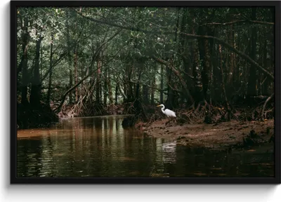 Produktbild von MuchoWow® MuchoWow® Gerahmtes Poster Reiher - Wald - See 90x60 cm - Poster mit zchwarzem Bilderrahmen - Fotorahmen - Foto-Plakat