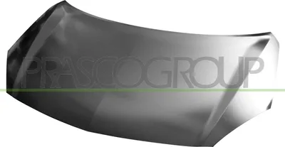 Produktbild von PRASCO RN8203100 Motorhaube für RENAULT KOLEOS (HY)