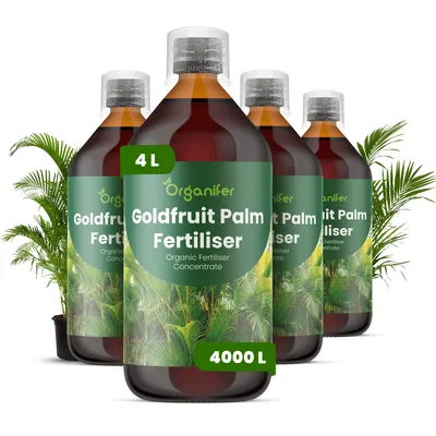 Obrázek produktu pro Goldfrucht Palma Tekuté Hnojivo 4x1 L – 2-1-8 NPK – Pro Goldfrucht Palmy – Podporuje Silné Kořeny & Vitalitu – Organifer