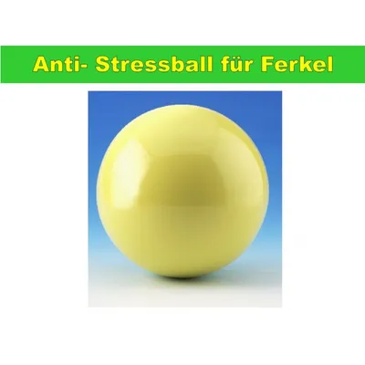 Produktbild von Anti-Stressball für Ferkel, Durchmesser 20cm