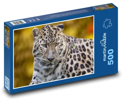 Obrázek produktu pro Puzzle 500 Leopard v divočině - martinpuzzle