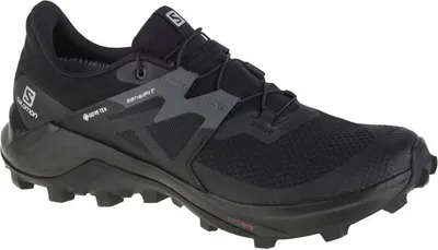 Produktbild von Schuhe Salomon Wildcross 2 Gtx 414554