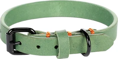 Produktbild von Flamingo Halsband Leano grün, Maße: 24 - 30 cm / 15 mm