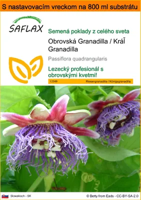 Obrázok produktu pre SAFLAX Garden in the bag - Obrovská Granadilla / Kráľ Granadilla - Passiflora quadrangularis - 12 Semená - S pestovateľským substrátom v praktickom samostaviteľnom vrecku