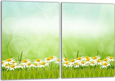 Obrázok produktu pre Súprava krycích dosiek na sporák 2x40x52 cm sklokeramický kryt varnej dosky sklenený splashback, sedmokráska zelená