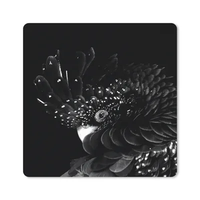 Produktbild von MuchoWow® Mauspad Mousepad Porträt eines Kakadus mit Krötenfedern - schwarz und weiß 20x20 cm - Mousepads - Maus Mat - Pad - Mausunterlage - Desk Mat - Bureauartikeln
