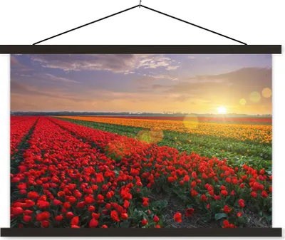 Produktbild von MuchoWow® Textilposter Feld - Tulpen - Sonne 60x40 cm mit schwarzem Rahmen - Hölzernes