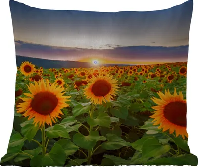 Produktbild von MuchoWow® Outdoor Kissen - Blumen - Nacht - Sonnenuntergang - Sonnenblume - Horizont - 50x50 cm - Wetterfest - Lounge Kissen - Komfortabel - Kissen mit Bild