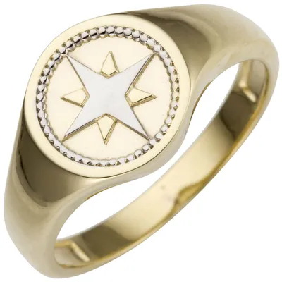 Produktbild von Ring aus 585 Gold Gelbgold bicolor mit Windrose Kompass rund flach Goldring Innenumfang 62mm Ø19.7mm