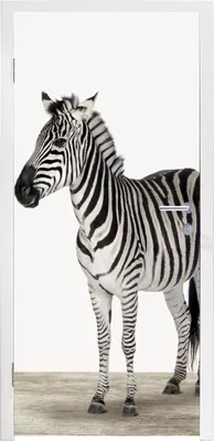 Produktbild von MuchoWow® Türtapete Selbstklebende Türfolie Zebra - Mädchen - Tiere - Kinder - Jungen 95x215 cm Türposter Türaufkleber Klebefolie Türklebefolie - Tür Tapete - Plakat - XXL-Plakat