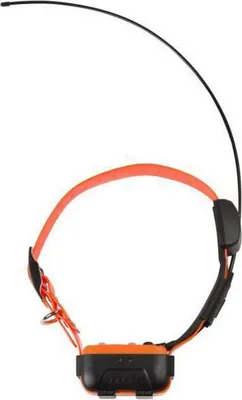 Produktbild von Halsband für Perro Num'Axes Canicom GPS GEO1047