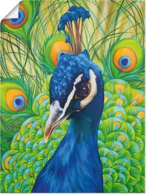 Produktbild von ARTland Poster Pfau Größe: 60x80 cm
