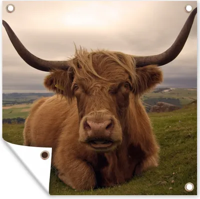 Produktbild von MuchoWow® 50x50 cm Outdoor-Poster Gartendeko Sichtschutz Garten Poster für den Garten  Schottischer Highlander - Tiere - Berg