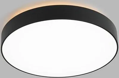 Image de Plafonnier circulaire à LED RINGO P/N avec effet aura, Variante : RINGO P/N, 450 mm, 42+5 W, 3930 lm, noir