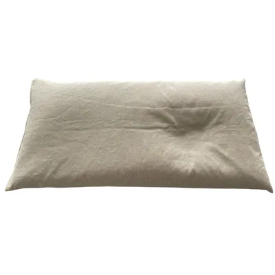 A light beige pillow on a white background.