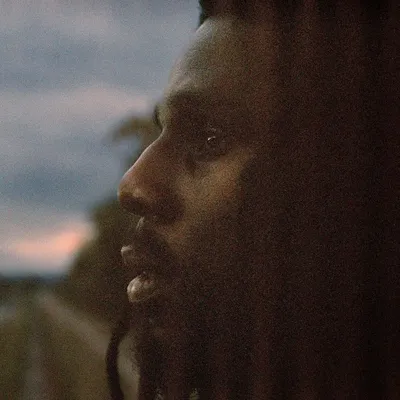 Obrázek produktu pro Chronixx - Exile (2 LP)