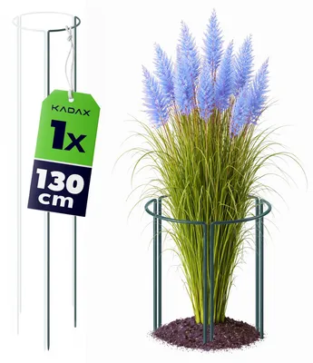 Obrázok produktu pre KADAX opora pre trvalky, výška 130 cm, 1 kus, opora pre rastliny z práškovo lakovanej ocele, opora pre hortenzie, opora pre popínavé rastliny, opora pre kríky (1/3 kruhová)