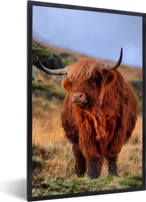 Produktbild von MuchoWow® Gerahmtes Poster Schottische Highlander - Gras - Steine 40x60 cm - Poster mit Schwarzem Bilderrahmen Wandposter Rahmen Foto Bilder - Papierdruck - Wandbilder