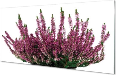 Produktbild von Glasbilder 140x70 Wandkunst heathers
