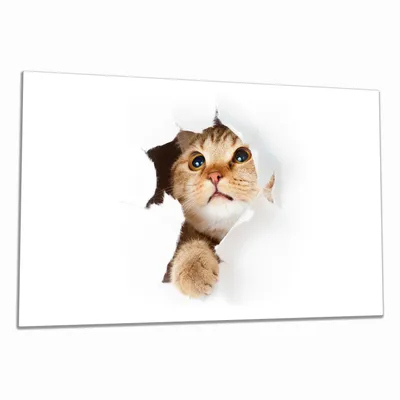 Produktbild von Wallario Herdabdeckplatte aus Glas, Größe 80 x 52 cm 1-teilig, Motiv Katze mit Blick nach oben
