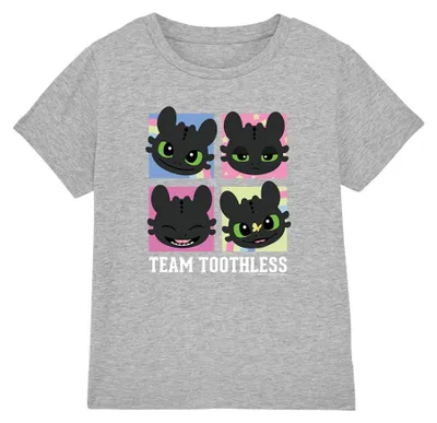 Immagine prodotto di Maglietta per bambini "Team Toothless" del film "Come Addestrare un Drago" (codice TV37476) (colore: grigio sportivo)