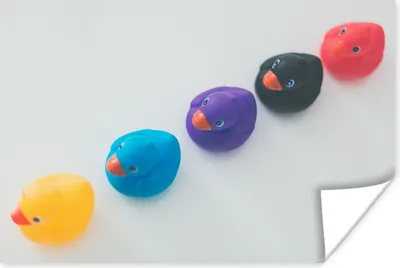 Produktbild von MuchoWow® Poster Gummi-Enten - Weiß 60x40 cm - Schlafzimmerdekoration