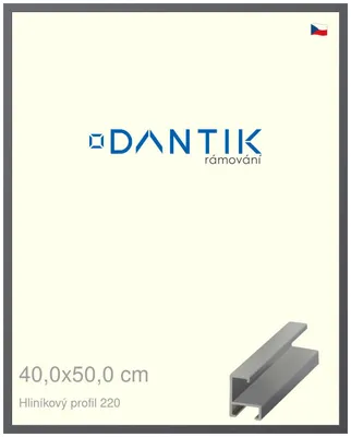 Obrázek produktu pro DANTIK rámeček 40x50 | ALU profil 6220 Ocelová (Sklo Čiré)