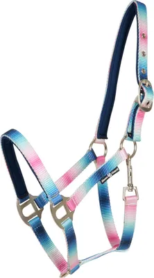 Produktbild von Horse Guard Halfter Gradient marineblau und rosa, Größe:Pony