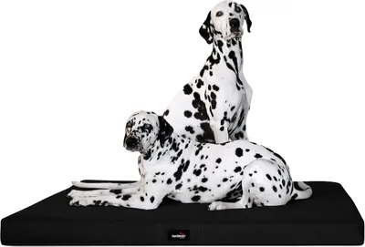 Produktbild von tierlando® Orthopädische Hundematratze ALICE VISCO Hundematte Hundebett S - XXL - Größe: 100x80cm | Farbe: 03 Schwarz