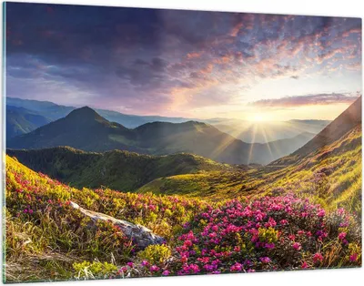 Produktbild von Bilder auf glas - Gebirge Wiese Landschaft Wald - 120x80cm - Glasbilder - Wandbilder - Kunstdruck - zum Aufhängen bereit - Wanddekoration aus Glas - Glas Bilder - Wandbild auf Glas - GAA120x80-3152