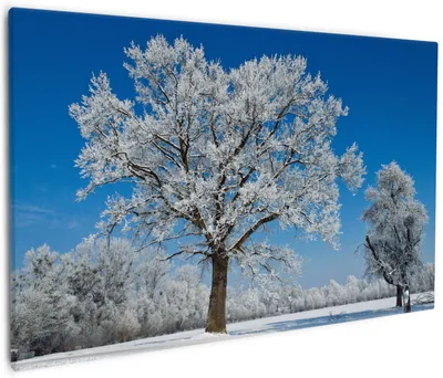 Produktbild von Wallario Premium Leinwandbild Schneebedeckter Baum mit blauen Himmel in Größe 60 x 90 cm