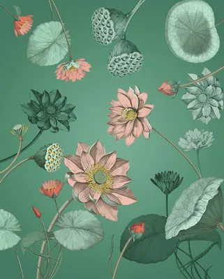 Productafbeelding van Sanders & Sanders fotobehang lotus bloem groen en roze 200 x 250 cm