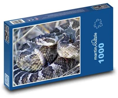 Obrázok produktu pre Puzzle 1000 Chřestýš v divočine - martinpuzzle