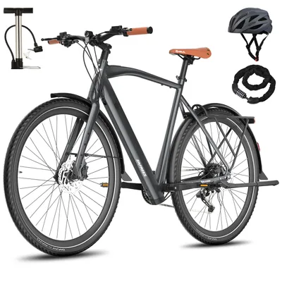 Produktbild von E-Bike 175 - 210 cm 28 Zoll Rostfreie Aluminiumlegierung 250 W bis zu 100 km Pedelec Wasserdicht IPX4 mit Shimano 9 Gang, Grau