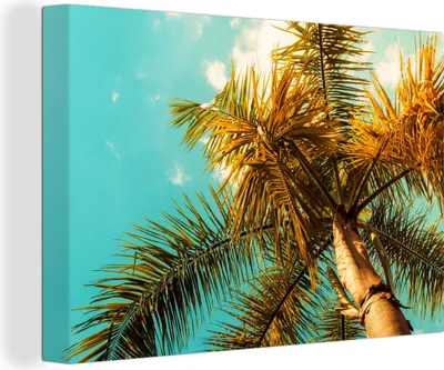 Produktbild von OneMillionCanvasses® - Leinwandbilder - 150x100 cm, Palme - Sommer - Tropisch, Wandbilder Kunstdruck Wanddekoration - Foto auf Leinwand - Gemälde auf Holzrahmen