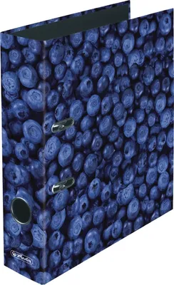 Produktbild von Motivordner A4 80mm 'Blaubeere' Packung mit 10 Stück