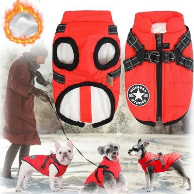 Image de Gilet de protection pour chien, chaud et imperméable, rouge